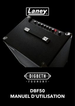 Laney DBF50, User Manuel utilisateur