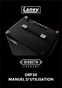 Laney DBF30, User Manuel utilisateur