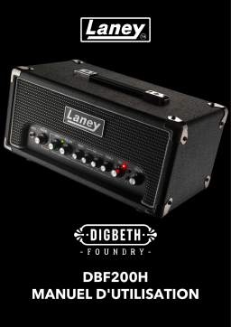 Laney DBF200H, User Manuel utilisateur