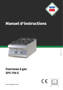 RM SPS 704 G Manuel utilisateur