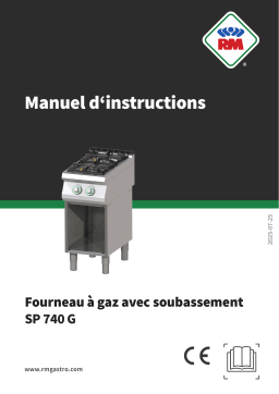 RM SP 740 G Manuel utilisateur