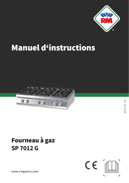 RM SP 7012 G Manuel utilisateur