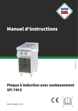 RM SPI 740 E Manuel utilisateur