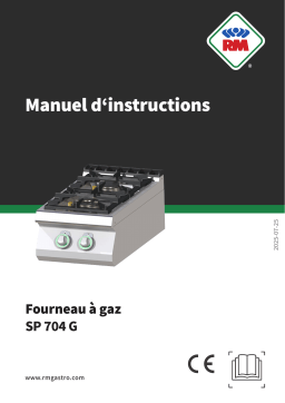 RM SP 704 G Manuel utilisateur