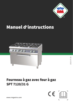 RM SPT 7120/31 G Manuel utilisateur