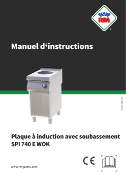 RM SPI 740 E WOK Manuel utilisateur