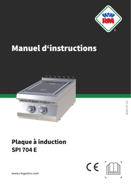 RM SPI 704 E Manuel utilisateur