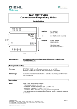 Diehl IZAR PORT PULSE Guide d'installation