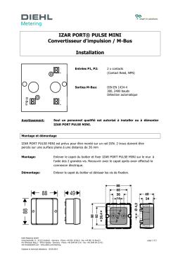 Diehl IZAR PORT PULSE MINI Guide d'installation