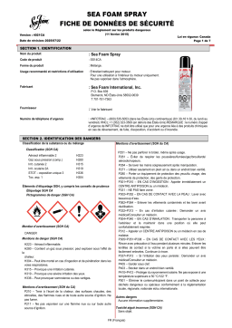 SeaFoam Sea Foam Fuel Cleaner Value Set Manuel du propriétaire
