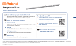 Roland Aerophone Brisa Manuel utilisateur