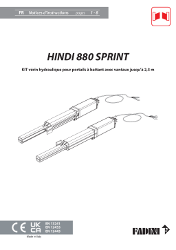 Fadini hindi880sprint Manuel utilisateur