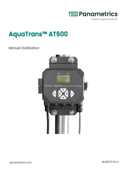 Panametrics AquaTrans AT600 Manuel utilisateur