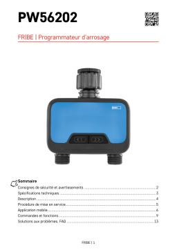 Emos : PW56202 Mode d'emploi