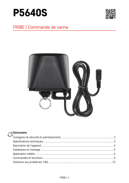 Emos : P5640S Mode d'emploi