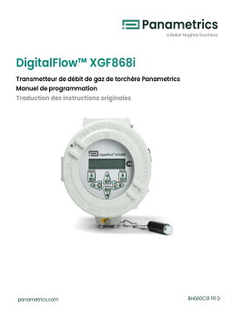 Panametrics DigitalFlow XGF868i Manuel utilisateur