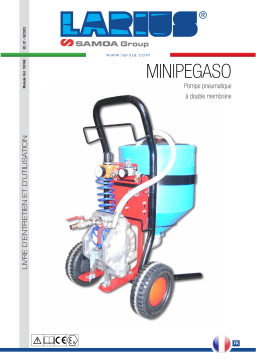 Larius Minipegaso Manuel utilisateur
