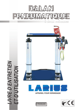 Larius Pneumatic Hoist twin mast Manuel utilisateur