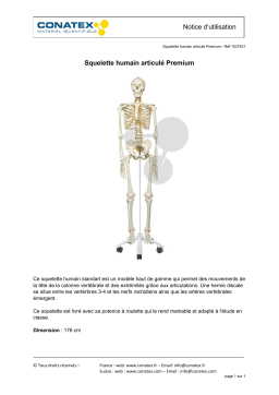 Conatex Squelette humain articulé Premium Manuel du propriétaire