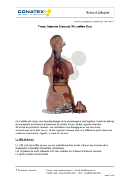Conatex Tronc humain bisexué 23 parties Eco Manuel du propriétaire