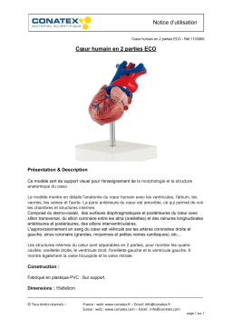 Conatex Cœur humain en 2 parties Eco Manuel du propriétaire