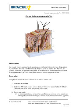 Conatex Coupe de peau x70 Eco Manuel du propriétaire
