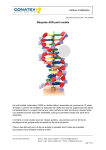Conatex Maquette ADN petit mod&egrave;le Manuel du propri&eacute;taire