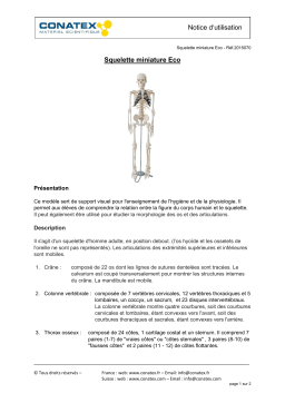 Conatex Squelette miniature Eco Manuel du propriétaire