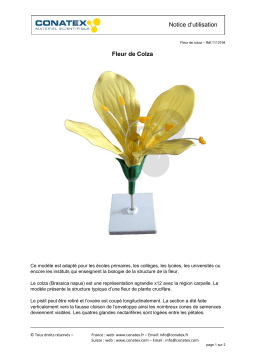 Conatex Fleur de colza Manuel du propriétaire