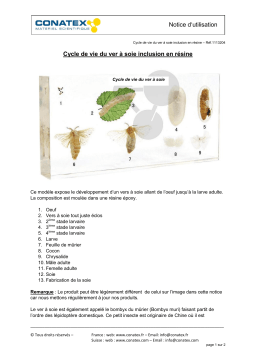 Conatex Cycle de vie du ver à soie inclusion en résine Manuel du propriétaire