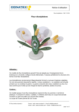 Conatex Fleur dicotylédone Manuel du propriétaire