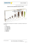 Conatex Cycle de vie de la sauterelle inclusion en r&eacute;sine Manuel du propri&eacute;taire
