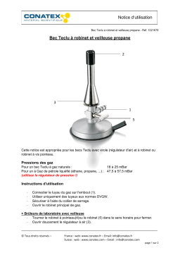 Conatex Bec Teclu à robinet et veilleuse propane Manuel du propriétaire