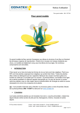 Conatex Fleur grand modèle Manuel du propriétaire