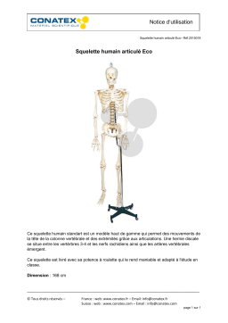 Conatex Squelette humain articulé Eco Manuel du propriétaire
