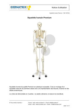 Conatex Squelette humain Premium Manuel du propriétaire