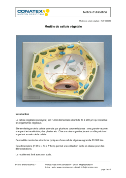 Conatex Modèle de cellule végétale Manuel du propriétaire