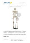 Conatex Squelette avec ligaments Eco Manuel du propri&eacute;taire