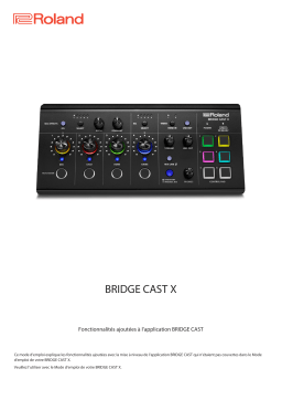 Roland BRIDGE CAST X Manuel du propriétaire