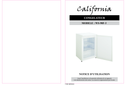 California WS-90F Manuel du propriétaire