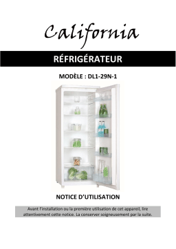California DL1-29N-1 Manuel du propriétaire
