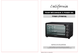 California TY601 Manuel du propriétaire