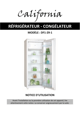 California DF1-29-1 Manuel du propriétaire