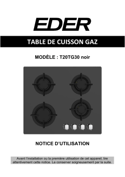 eder T20TG30 Manuel du propriétaire