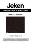 Jeken S19TCI30 Manuel du propri&eacute;taire