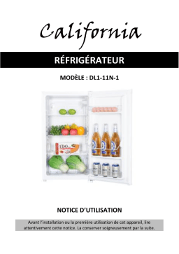 California DL1-11N-1 Manuel du propriétaire