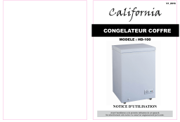 California HD-100 Manuel du propriétaire