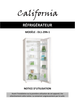 California DL1-29-1 Manuel du propriétaire