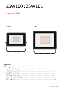 Emos : ZSW100 Mode d'emploi
