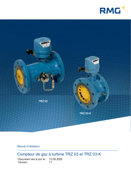 RMG TRZ 03 Manuel du propriétaire